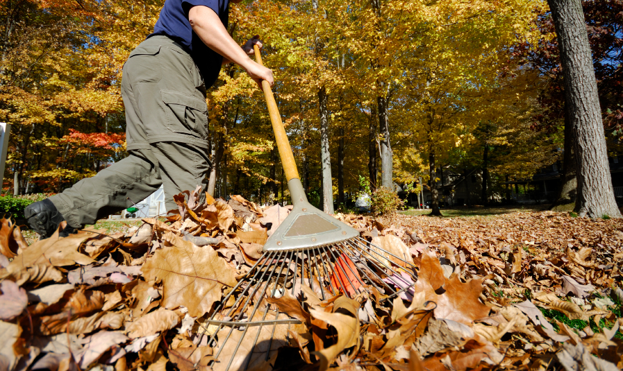 Preparing Your Lawn for the Upcoming Fall and the Winter Months